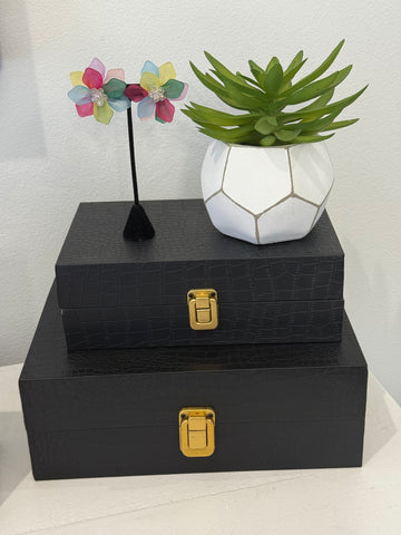 Multi Colored Petals