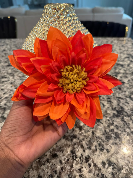 Sunset Bloom